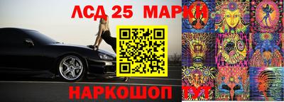 индика Шелехов