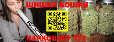 индика Шелехов
