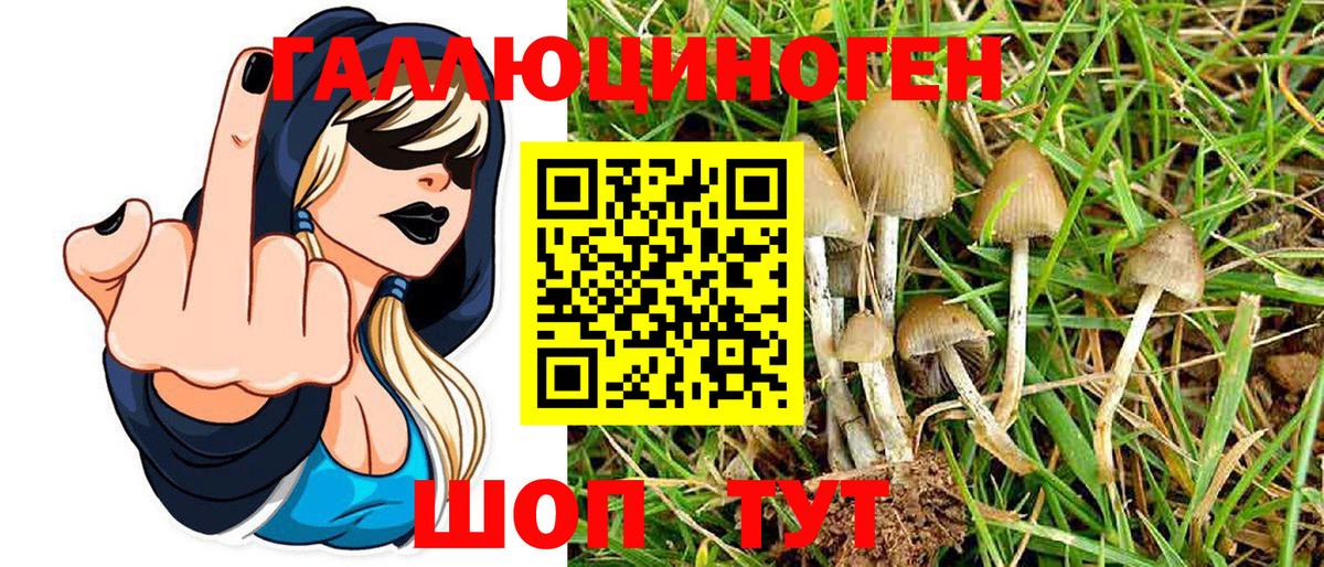 Галлюциногенные грибы Psilocybe  Вход с VPN  Ангарск 