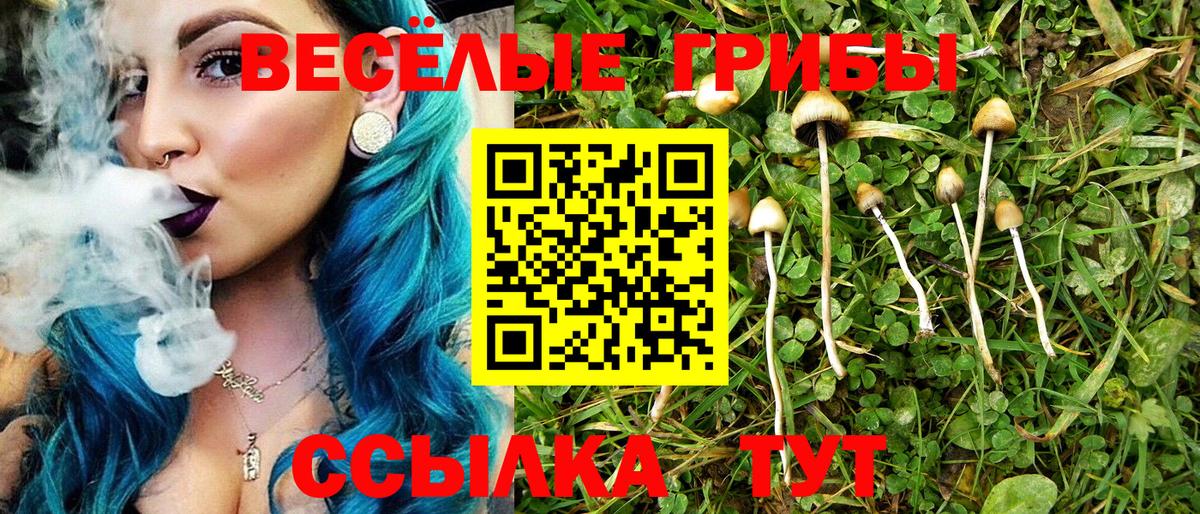 Галлюциногенные грибы мицелий Ангарск